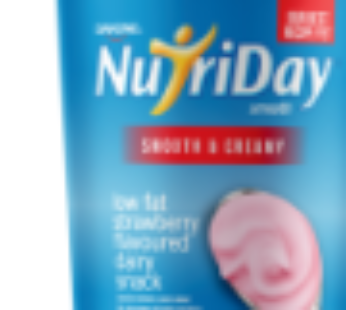 Danone NutriDay Strawberry Low Fat Flavoured Dairy Snack 900g