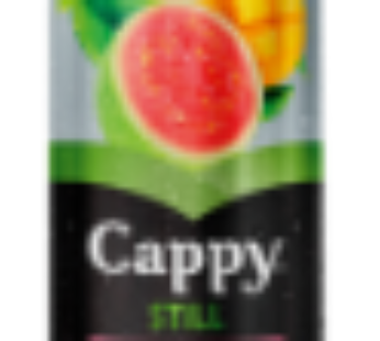 Cappy Still Breakfast Blend Flavoured Fruit Juice Can 330ml