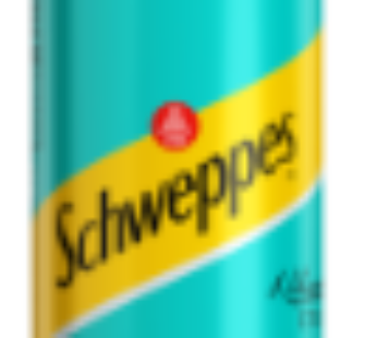 Schweppes Dry Lemon Soft Drink 300ml