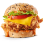 KFC NEW ZINGER BURGER ONLY