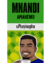 Mnandi Amahewu Pineapple Carton 1L